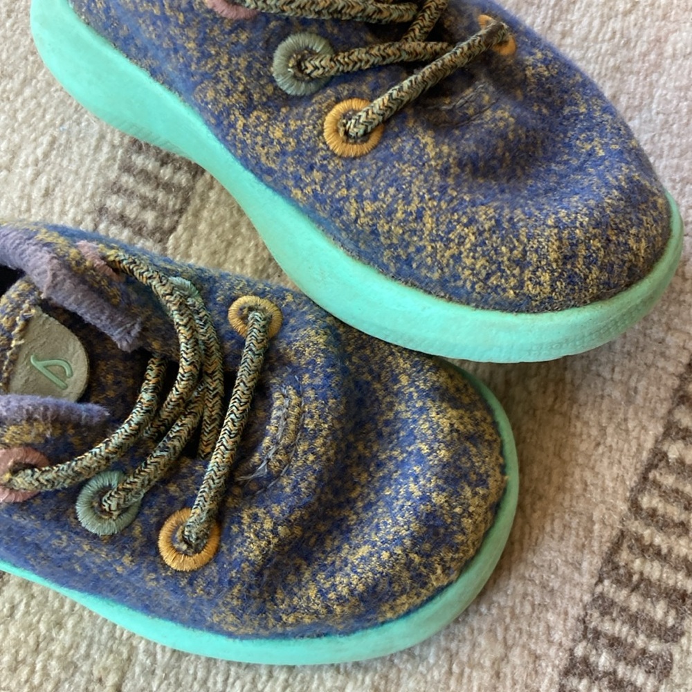 Allbirds Wool Sneakers